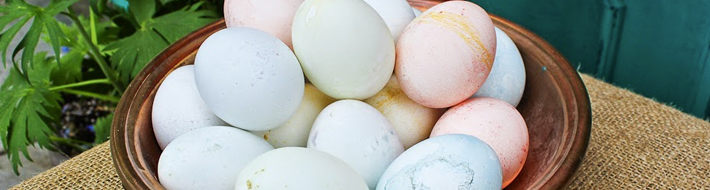 Milk Painted Easter Eggs