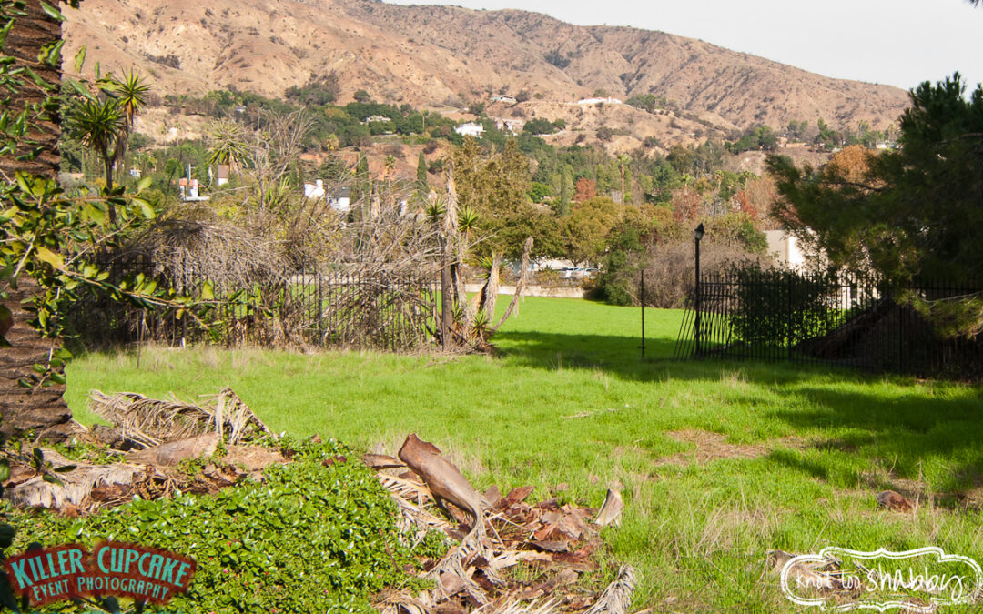 #knottooshabbyfarmhouserescue