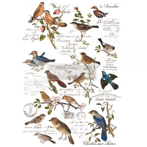Postal Birds Redesign Decor Transfers