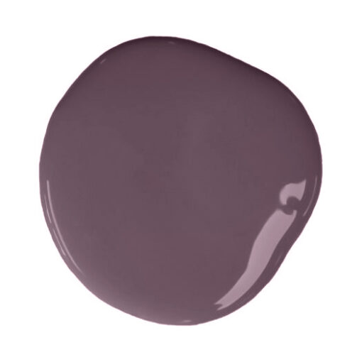 Tyrian Plum