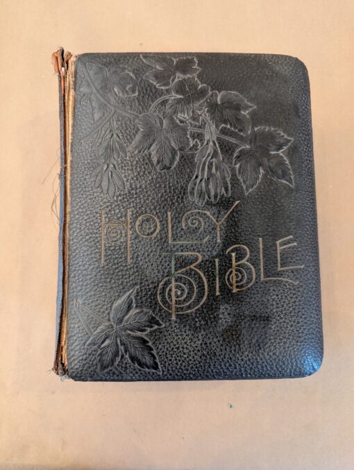 Antique Leather Bound Holy Bible 1891 - Image 5